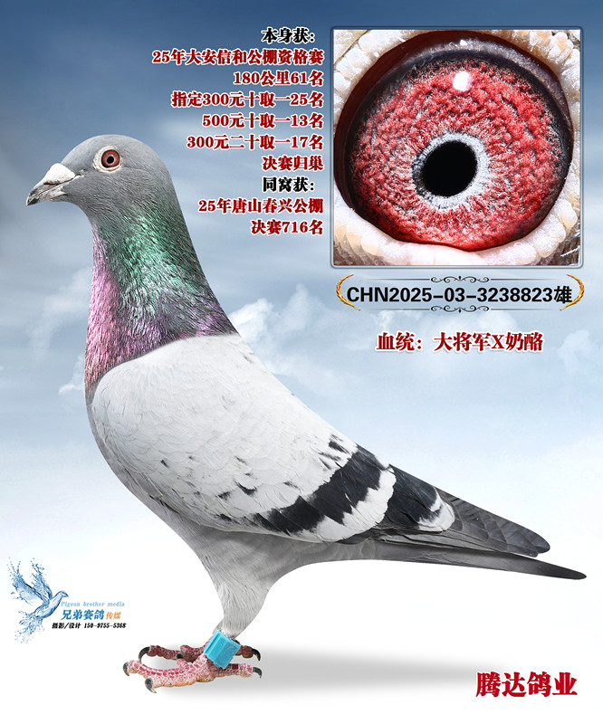 ��������ظ����ھ���ֱ��823