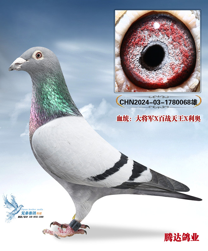 ��������ظ����ھ���ֱ��068