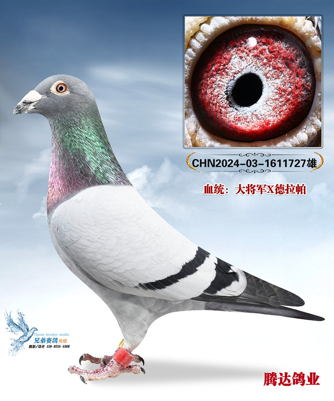 ��������ظ����ھ���ֱ��727