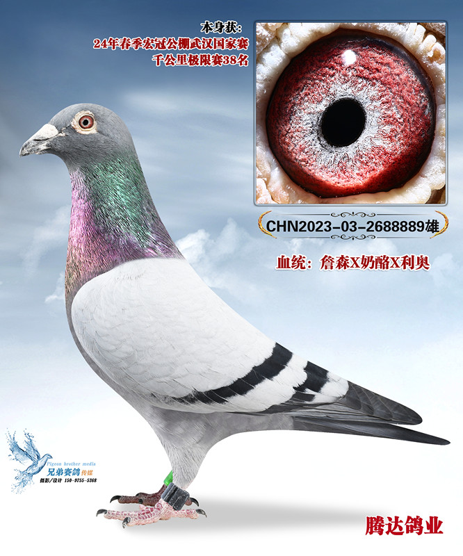 �����ݹ����Ĺظ����ھ���ֱ��889