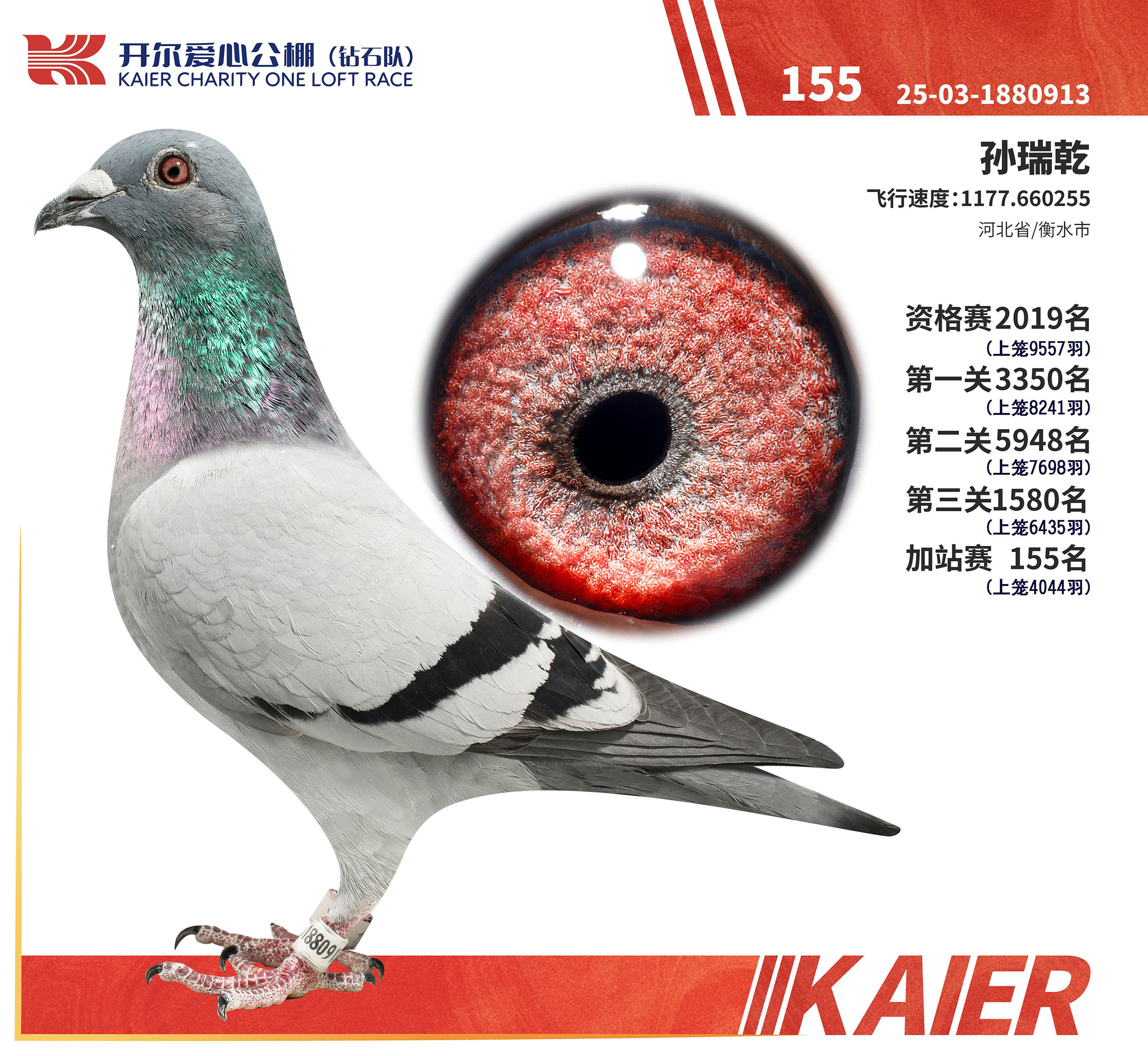 ����155��