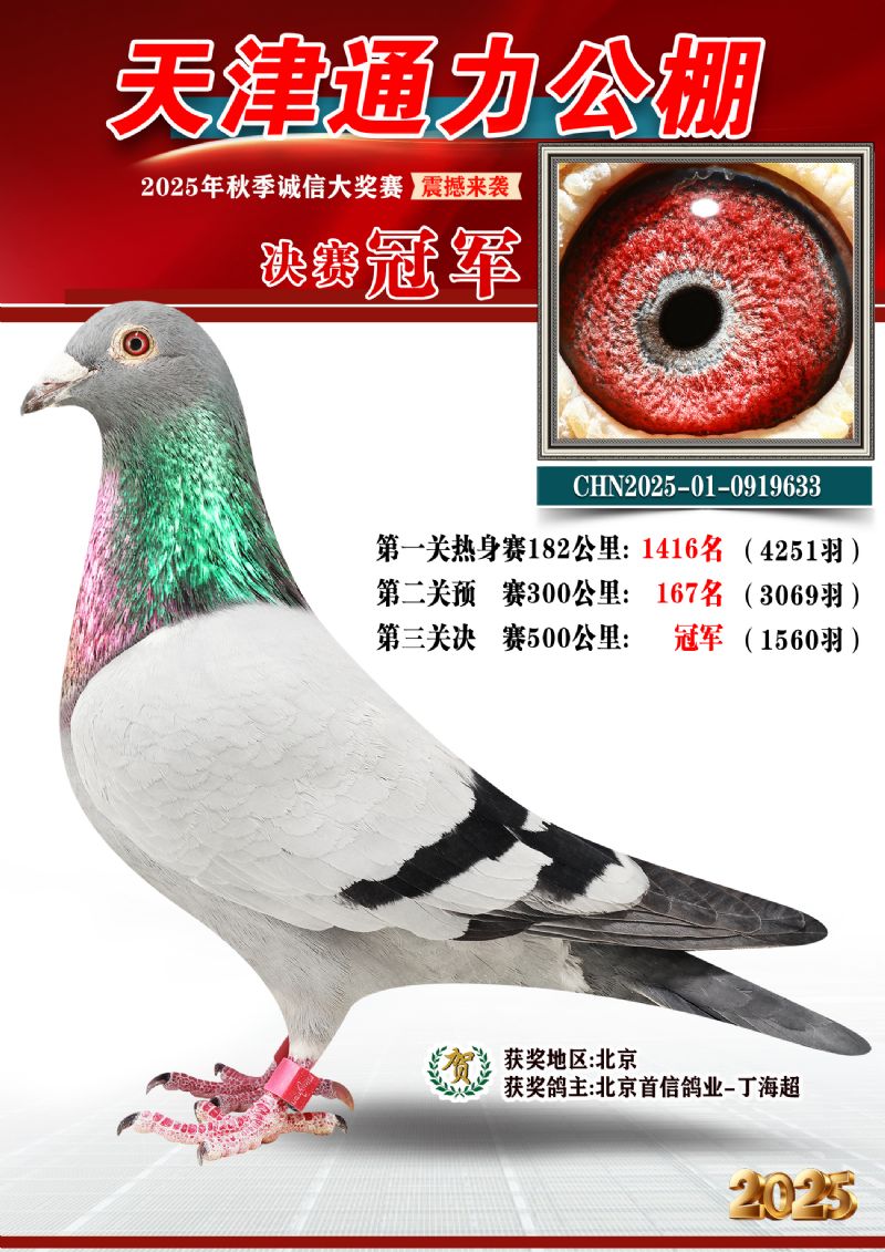 25�����ͨ����������ھ�