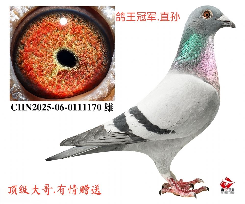 �������ھ���ֱ��