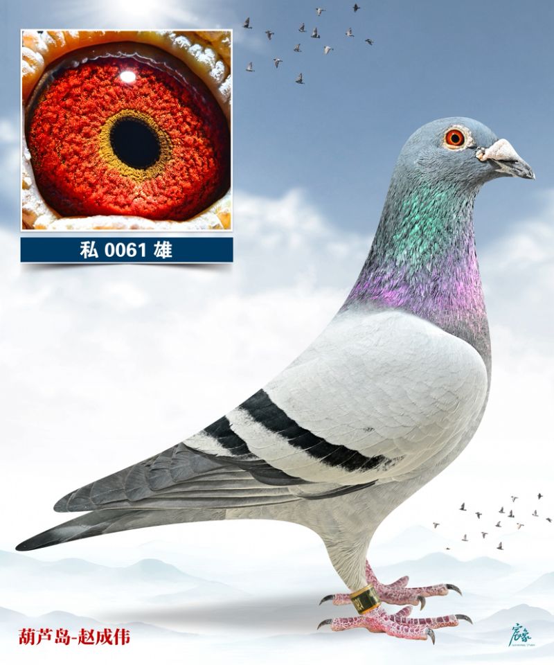 �S�۷���ֱ��061