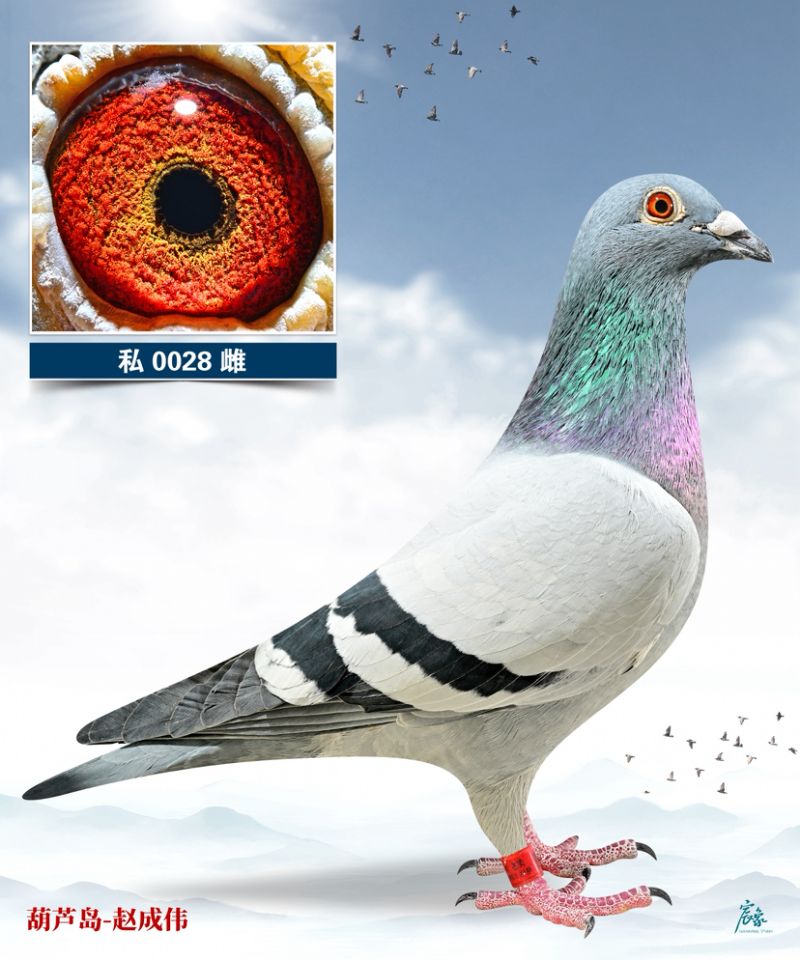 �S�۷���ֱŮ028