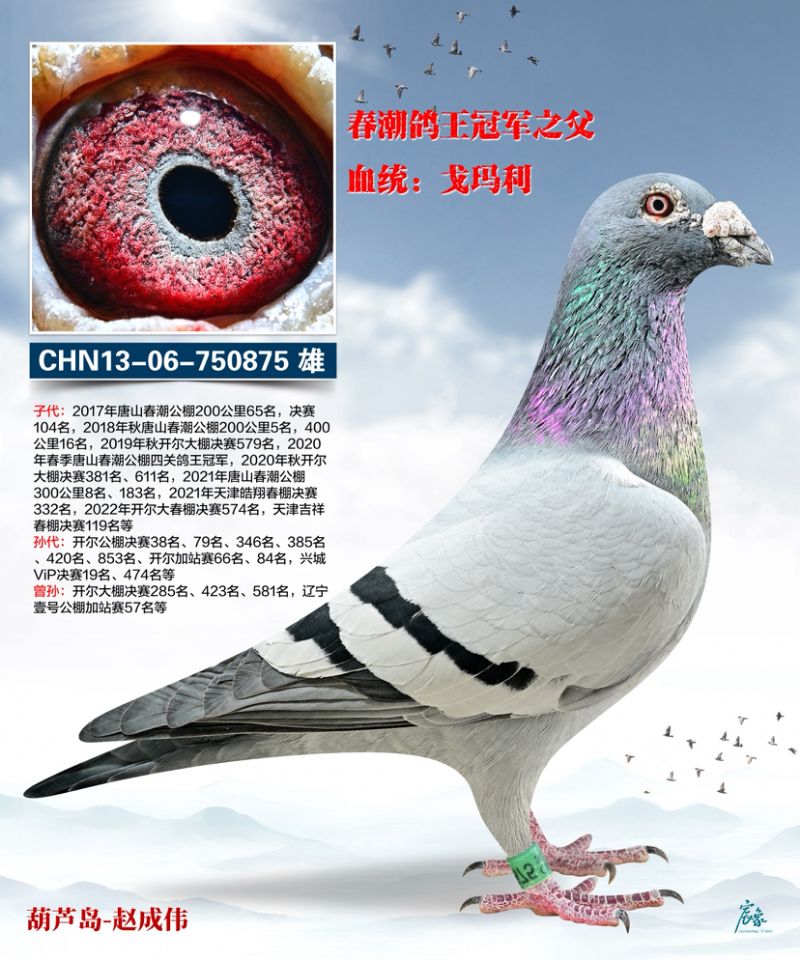 ��һ�S���䌦(du��)��