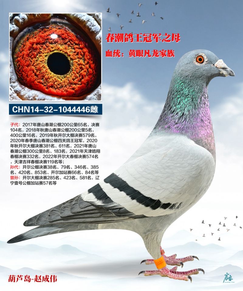 ��һ�S���䌦(du��)��