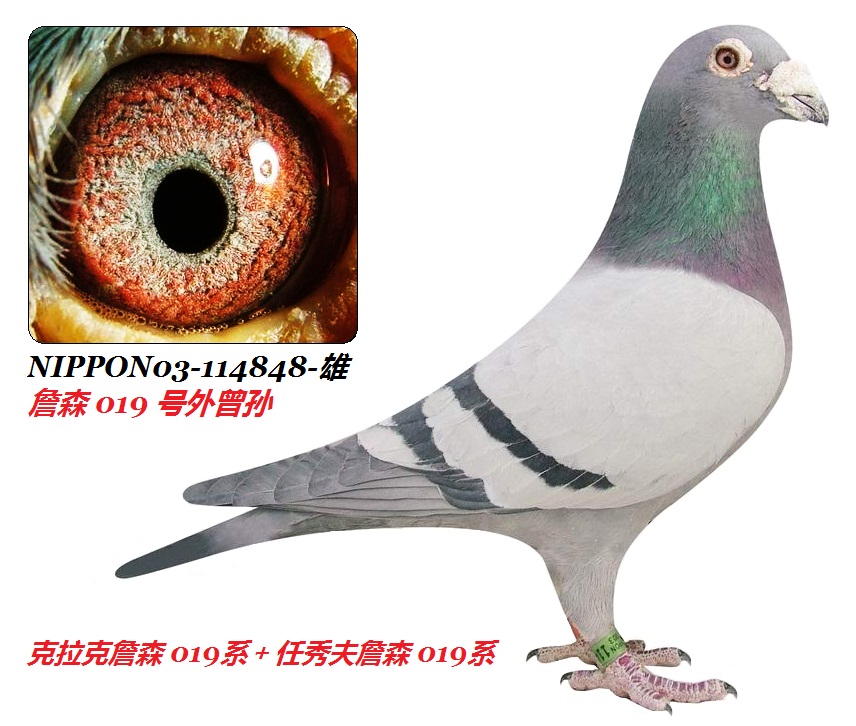 ����Ʒ������ղɭ848�š�(07�걱������22��֮��������Ʒ)