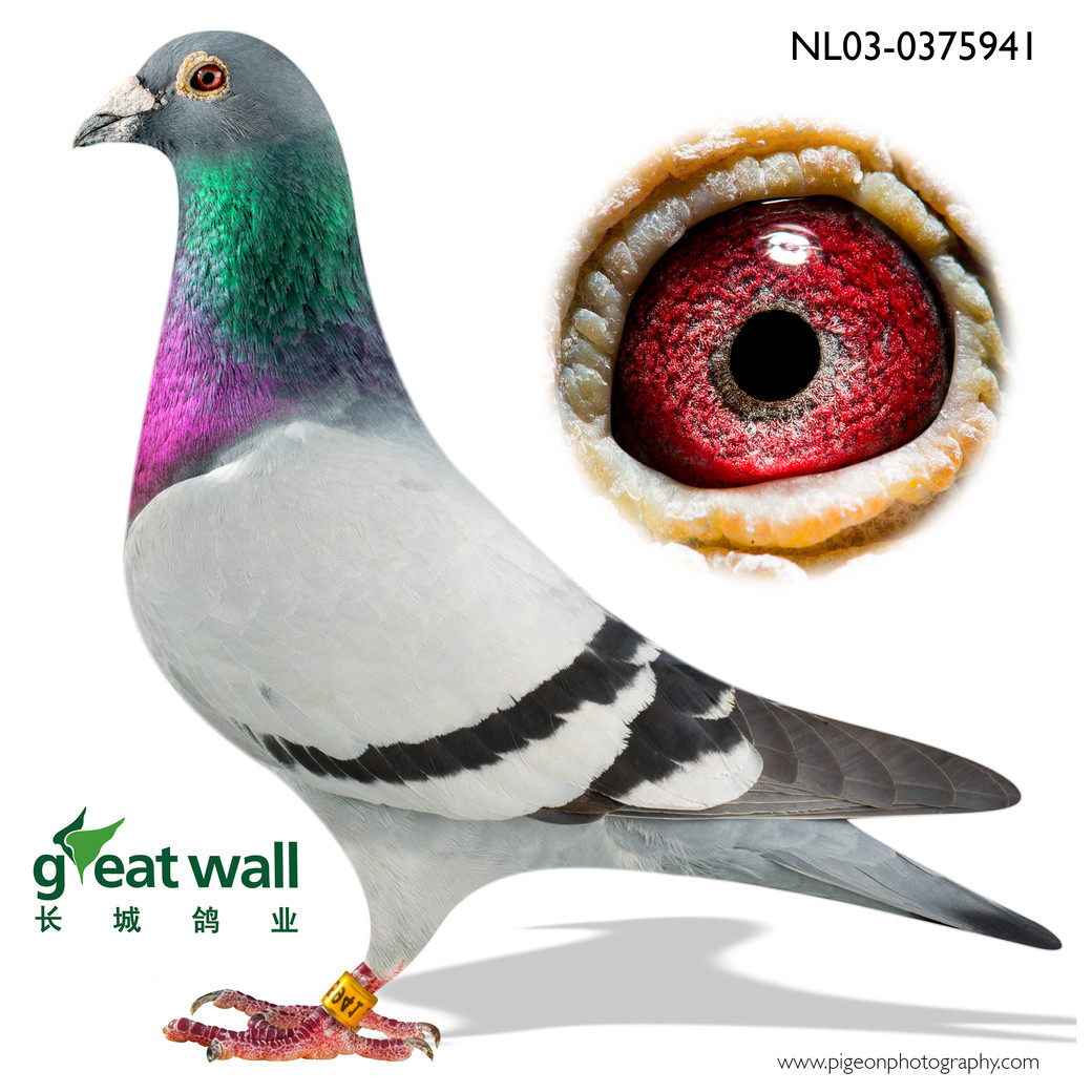 �����೬�������ˡ�