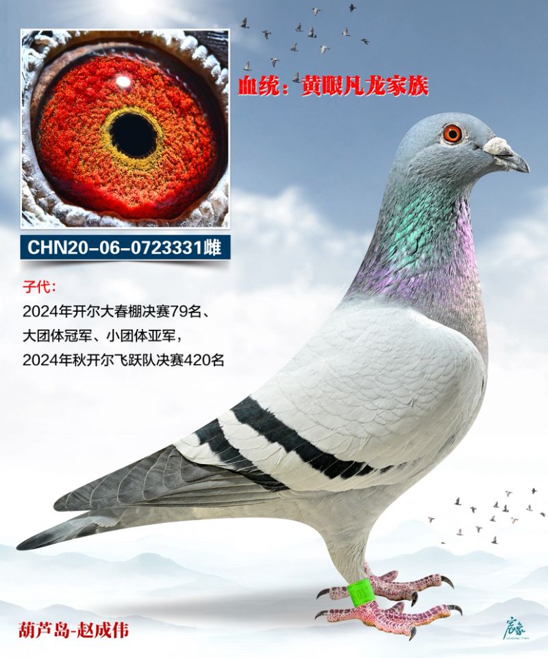 ��������܊ȫƽ݅331