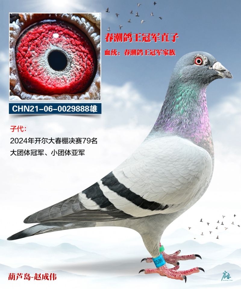 ����������܊ֱ��888