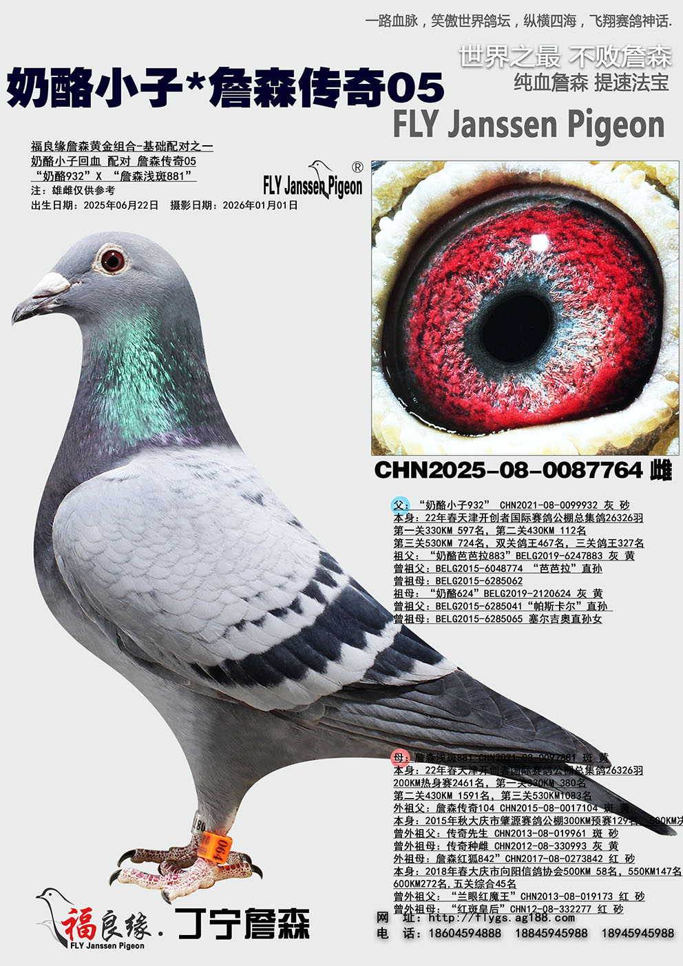 ����С��*ղɭ����05