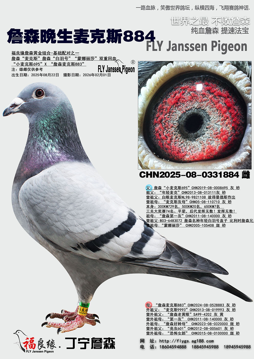 ղɭ���˹��Ѫ