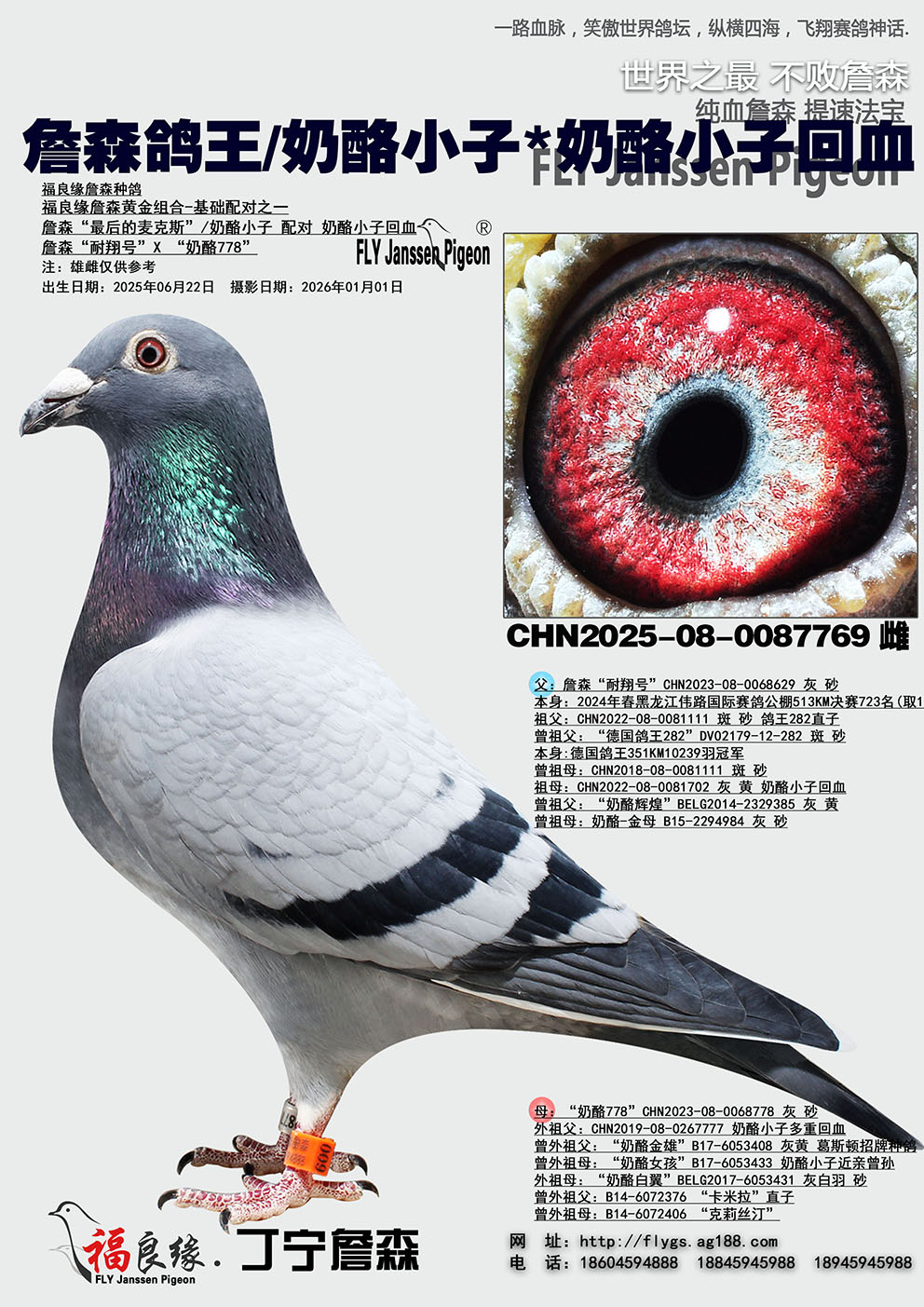 ղɭ����/����С��*����С��