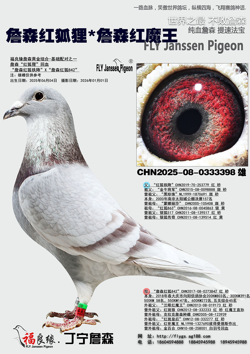 ղɭ�����*ղɭ��ħ��