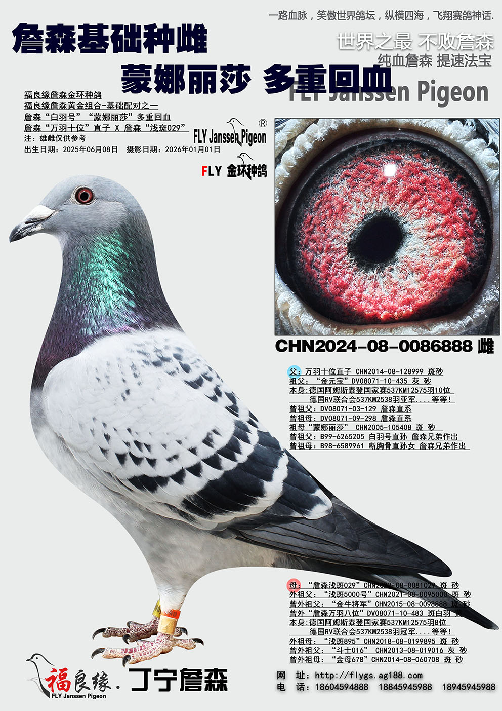 ղɭ������ɯ��Ѫ