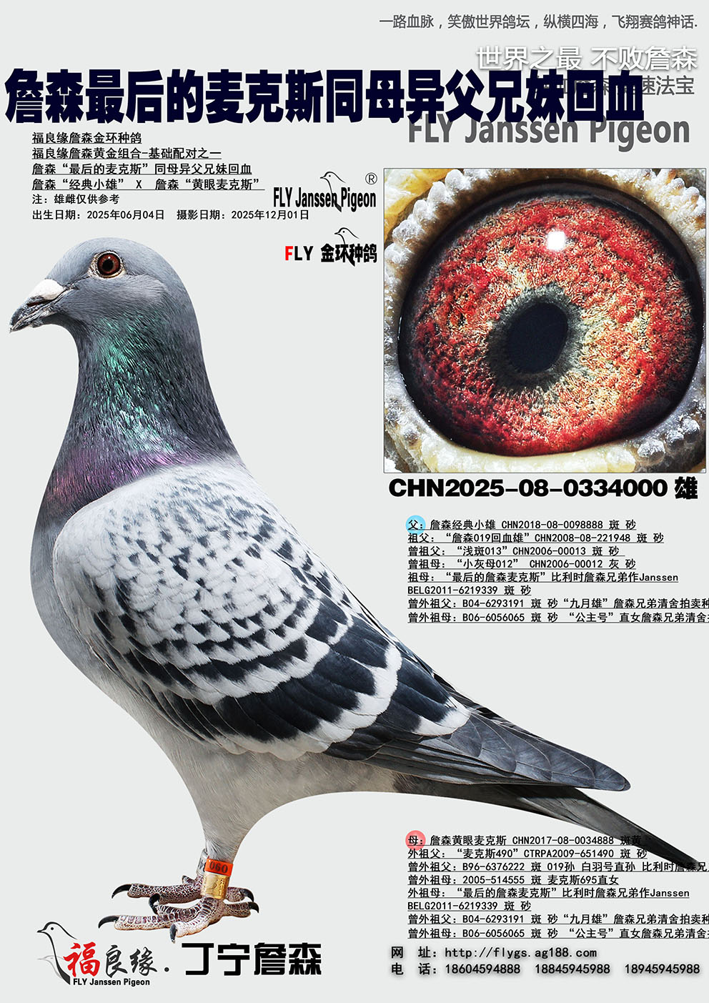 ղɭ�������˹ͬĸ�츸���û�Ѫ