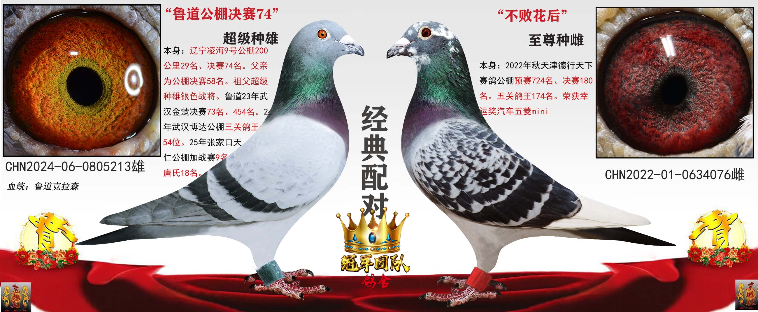 ³��5��X�������½���