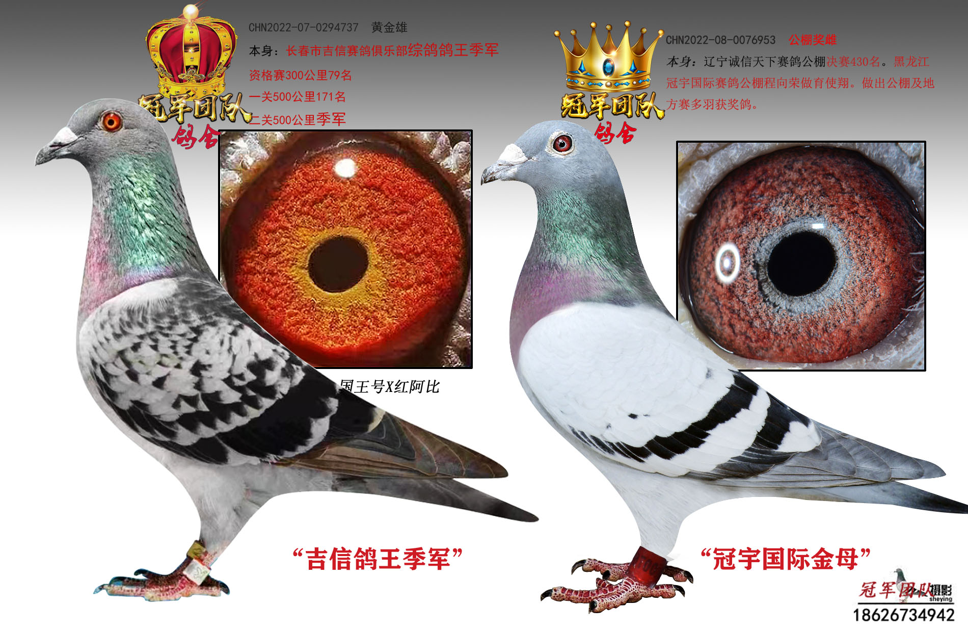 ���Ÿ�������X�����ĸ