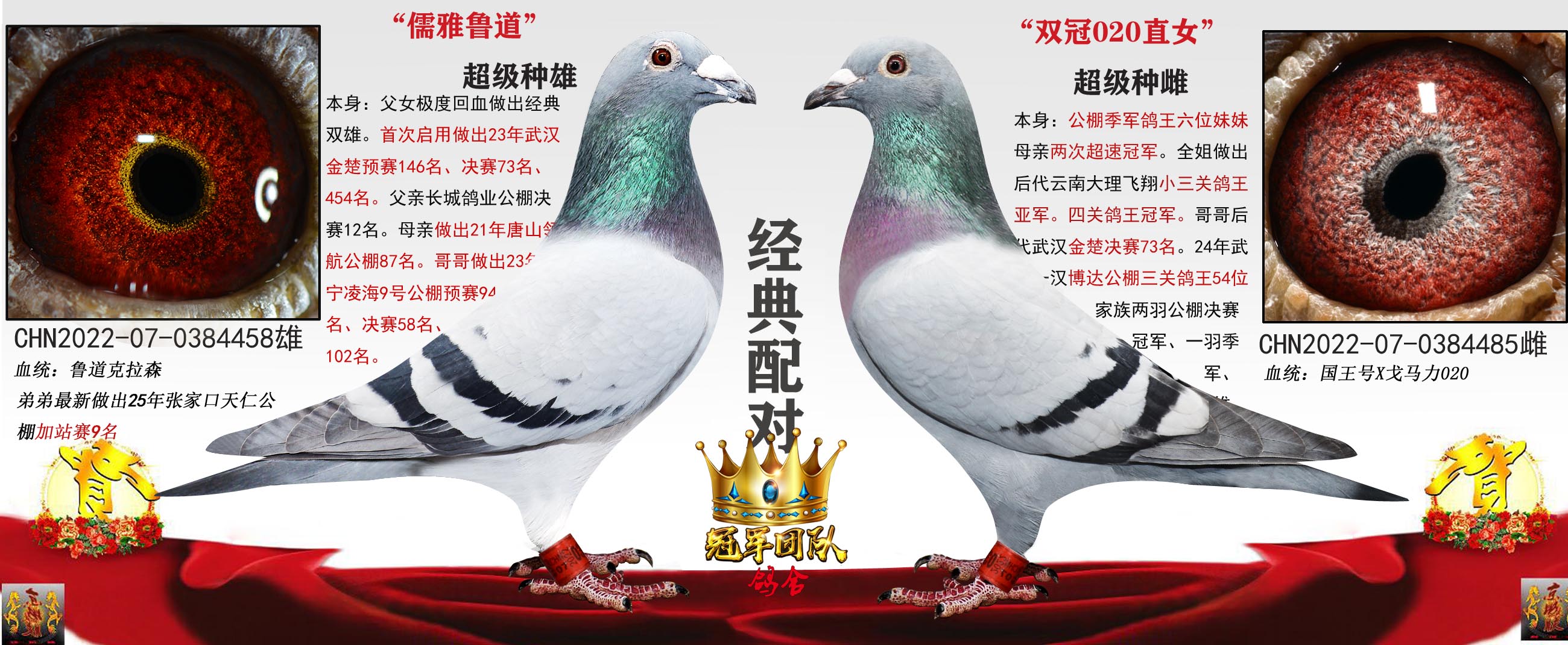 �人�������23�����73����ĸ