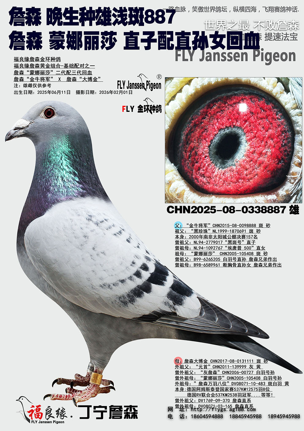 ղɭ ��������ǳ��887