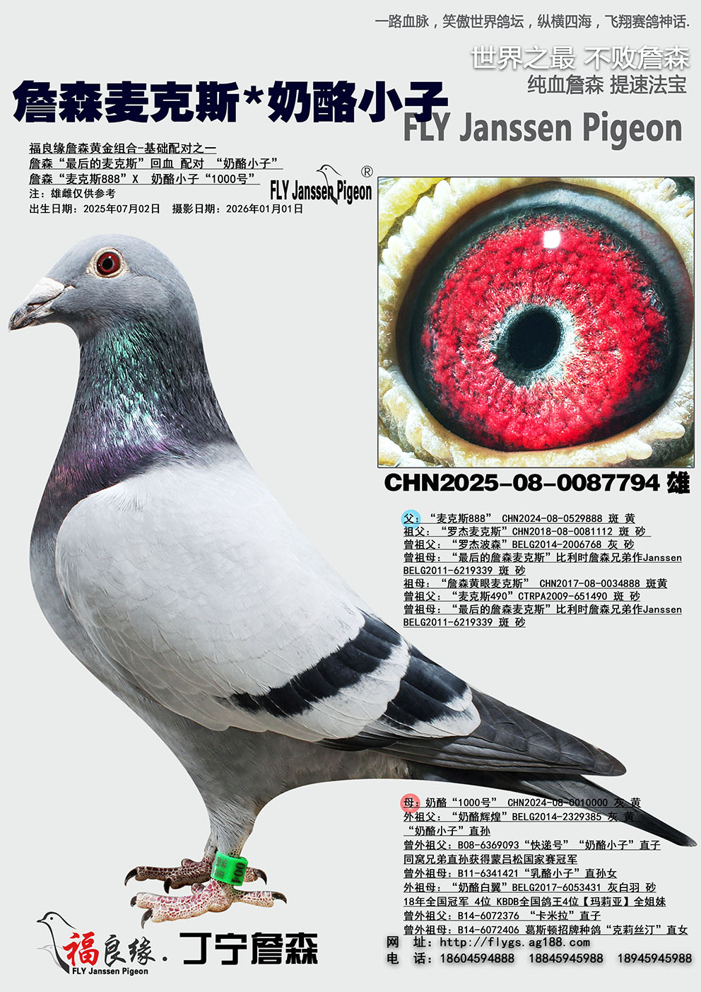 ղɭ���˹*����С��