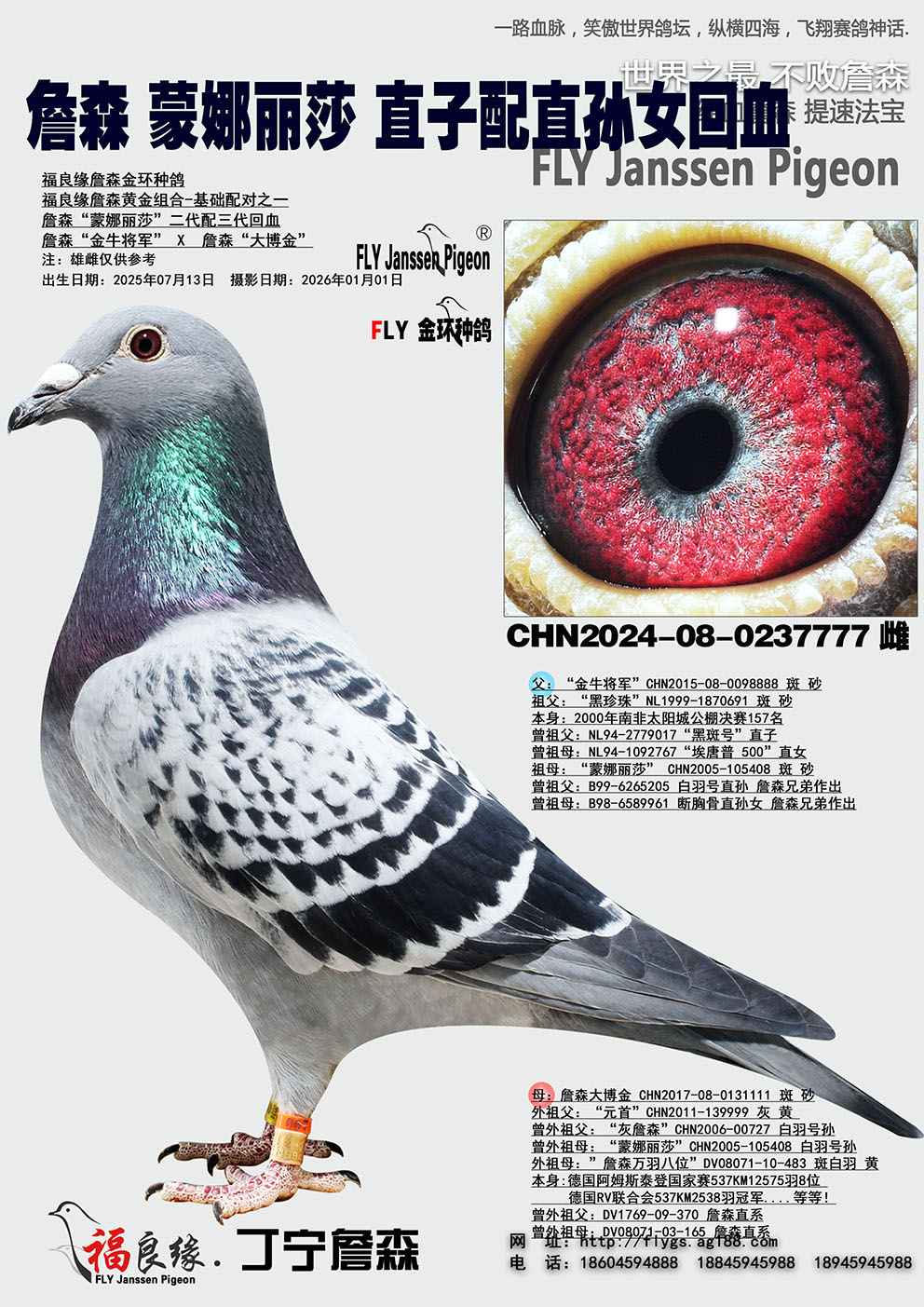 ղɭ������ɯֱ��*ֱ��Ů