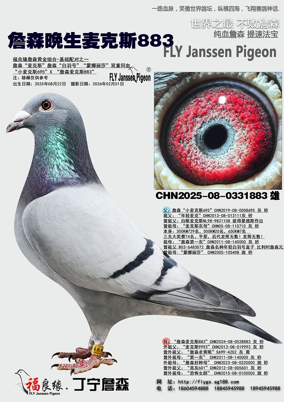 ղɭ���˹��Ѫ