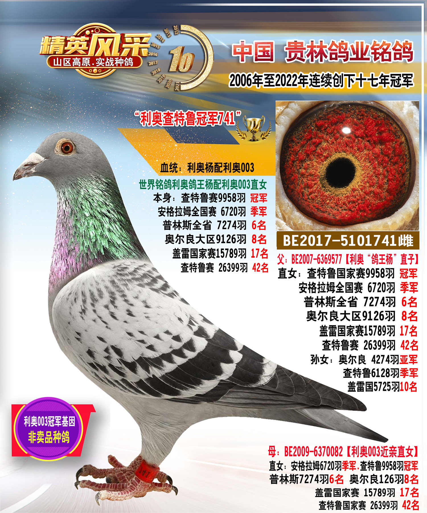 ���¡�����³9958��ھ���