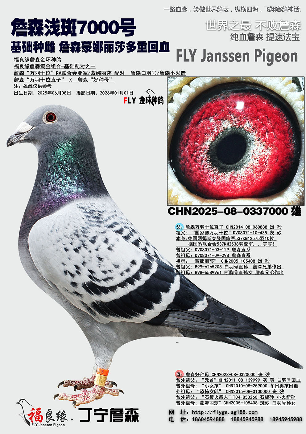 ղɭ������ɯ��Ѫ