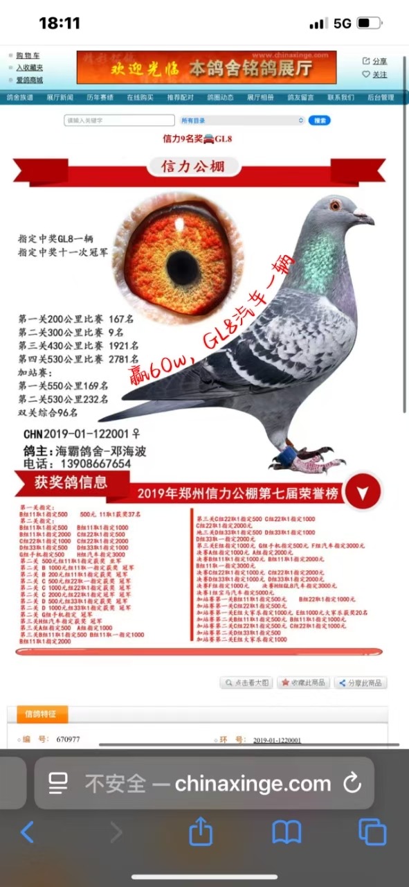 ����9����🚘GL8