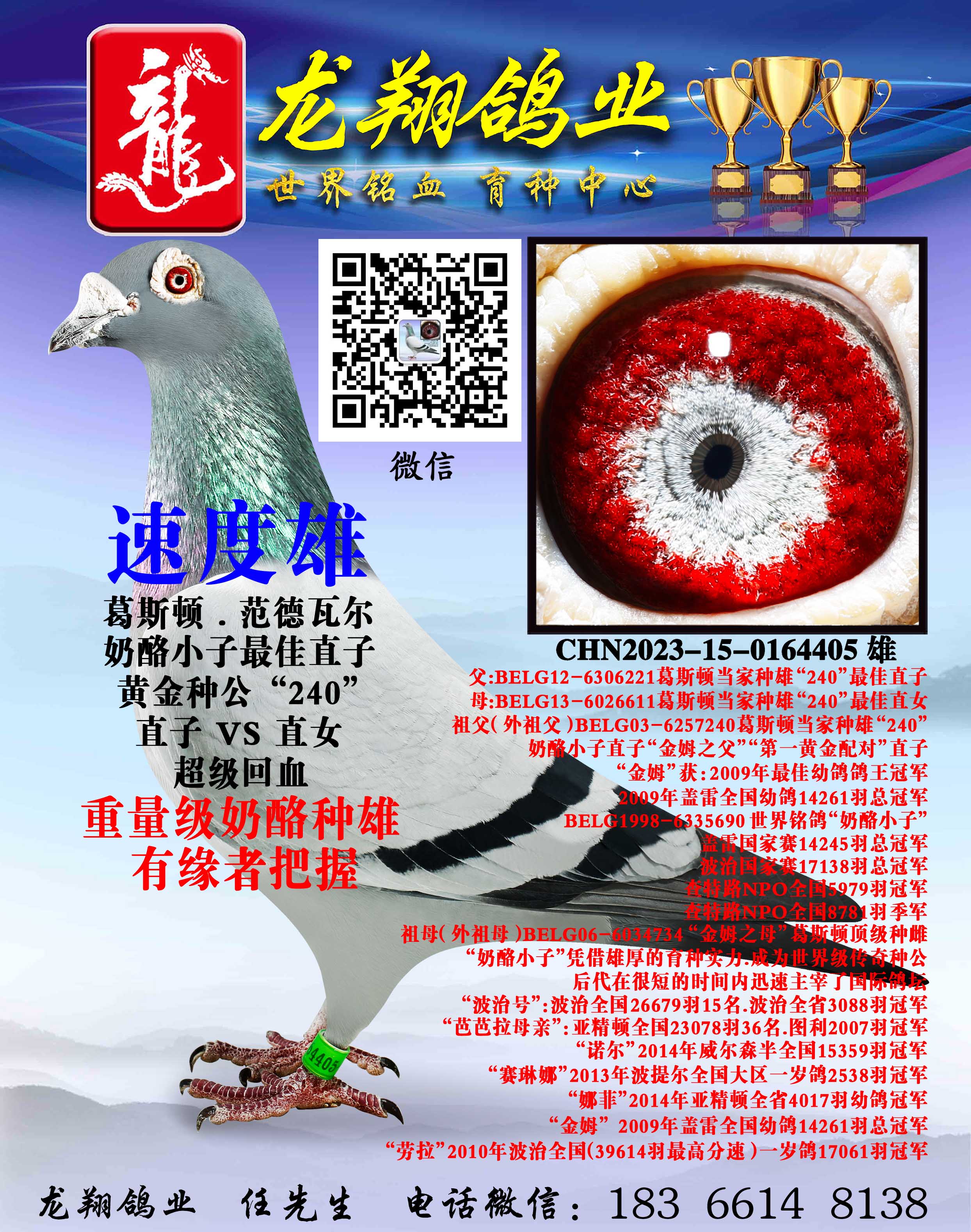 ��������С���۳���