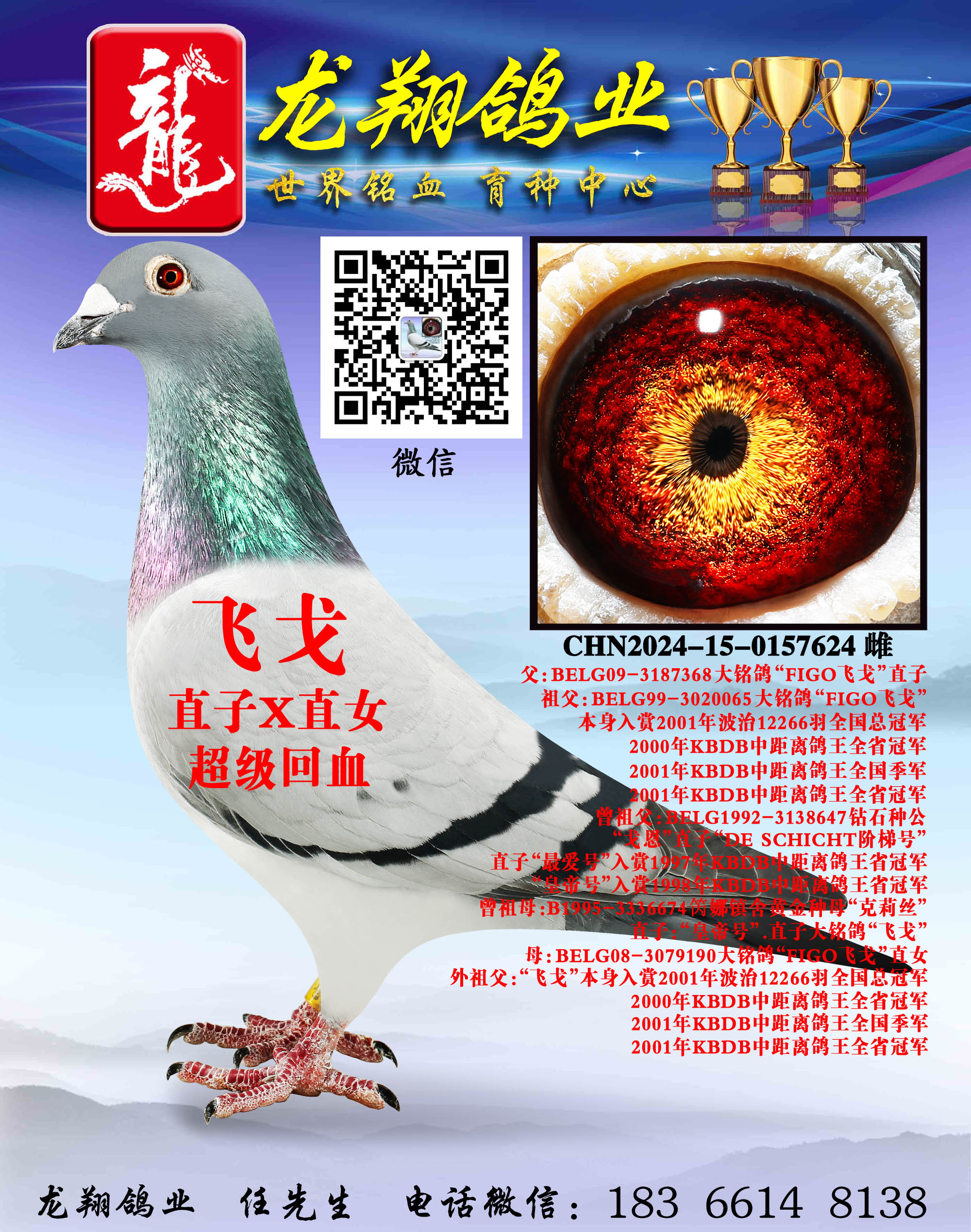 ���ɸꡱ������Ů����