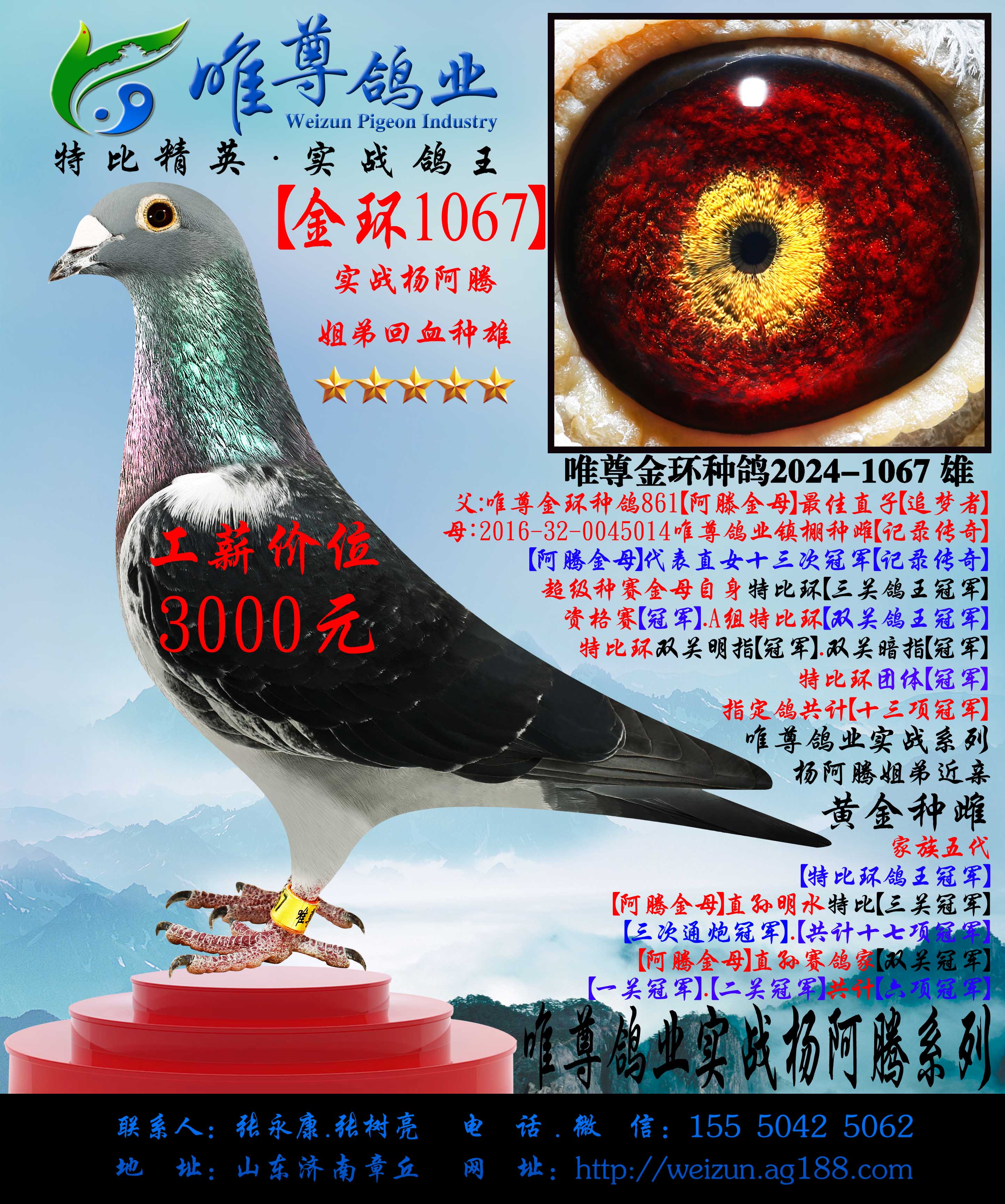 ����1067�����ʵսϵ��