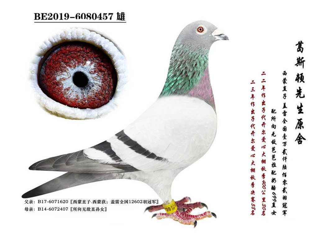 ԭ�ᡰ����o����ѪX�Ű�����