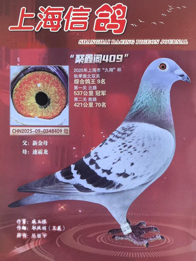 ���½�ķȫ�ֵܡ��OŮ