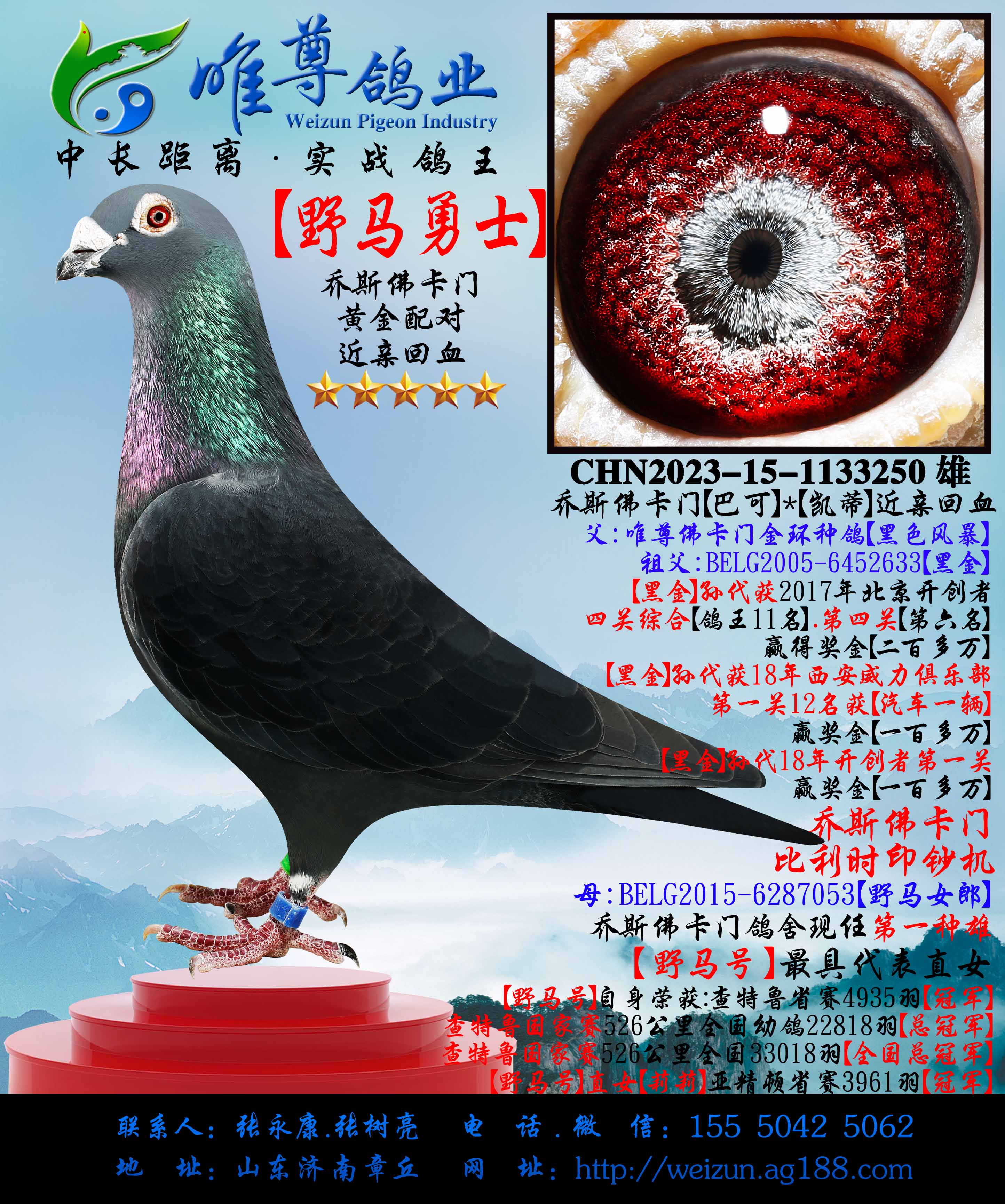 ��Ұ����ʿ����Ұ���š�����ֱ��