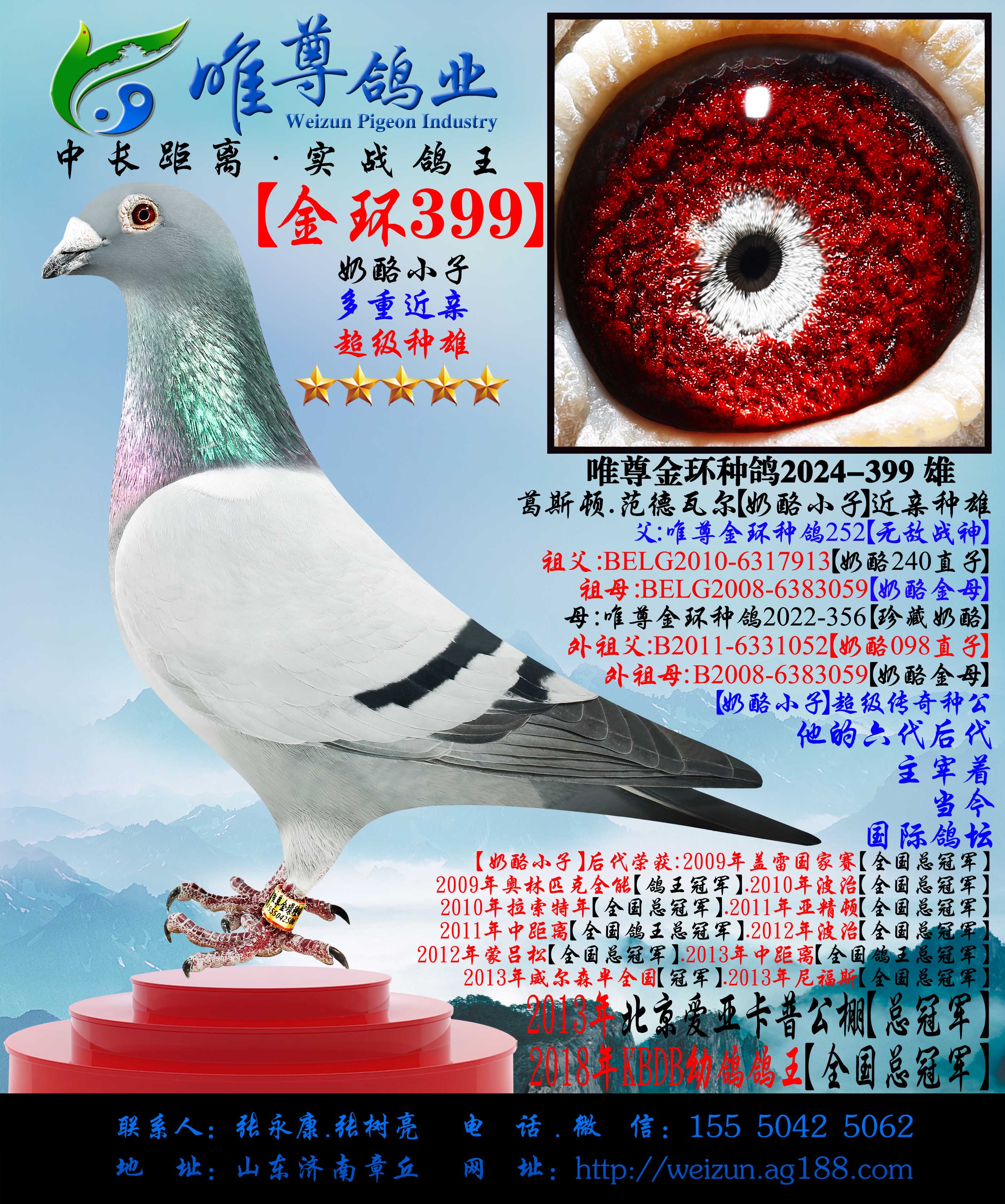 �����ҽ��ס���399