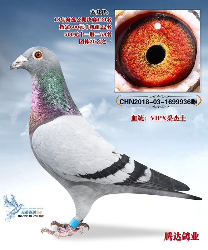 ���ݹ������120��