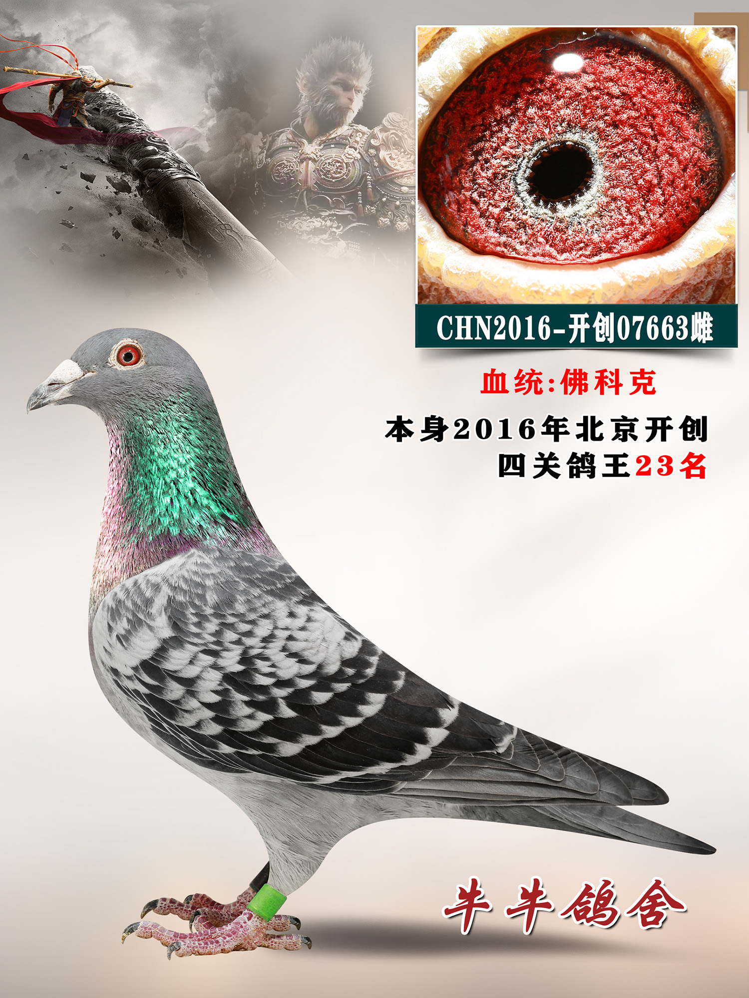 ��������23