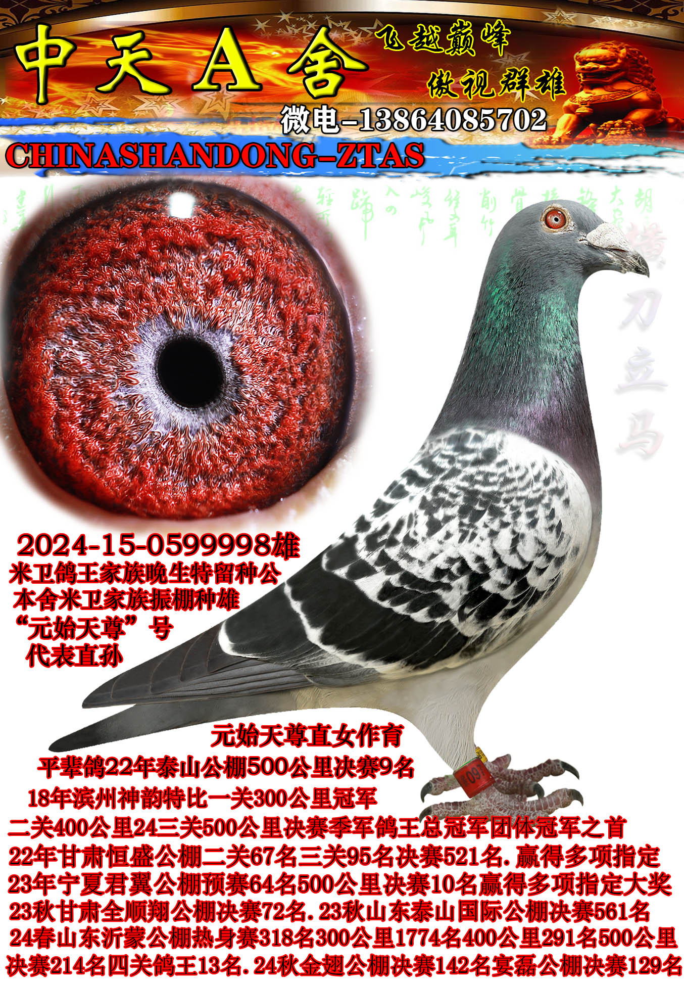 ����9��ƽ��