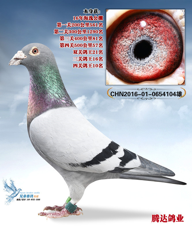 ���ݹ����Ĺظ���10��