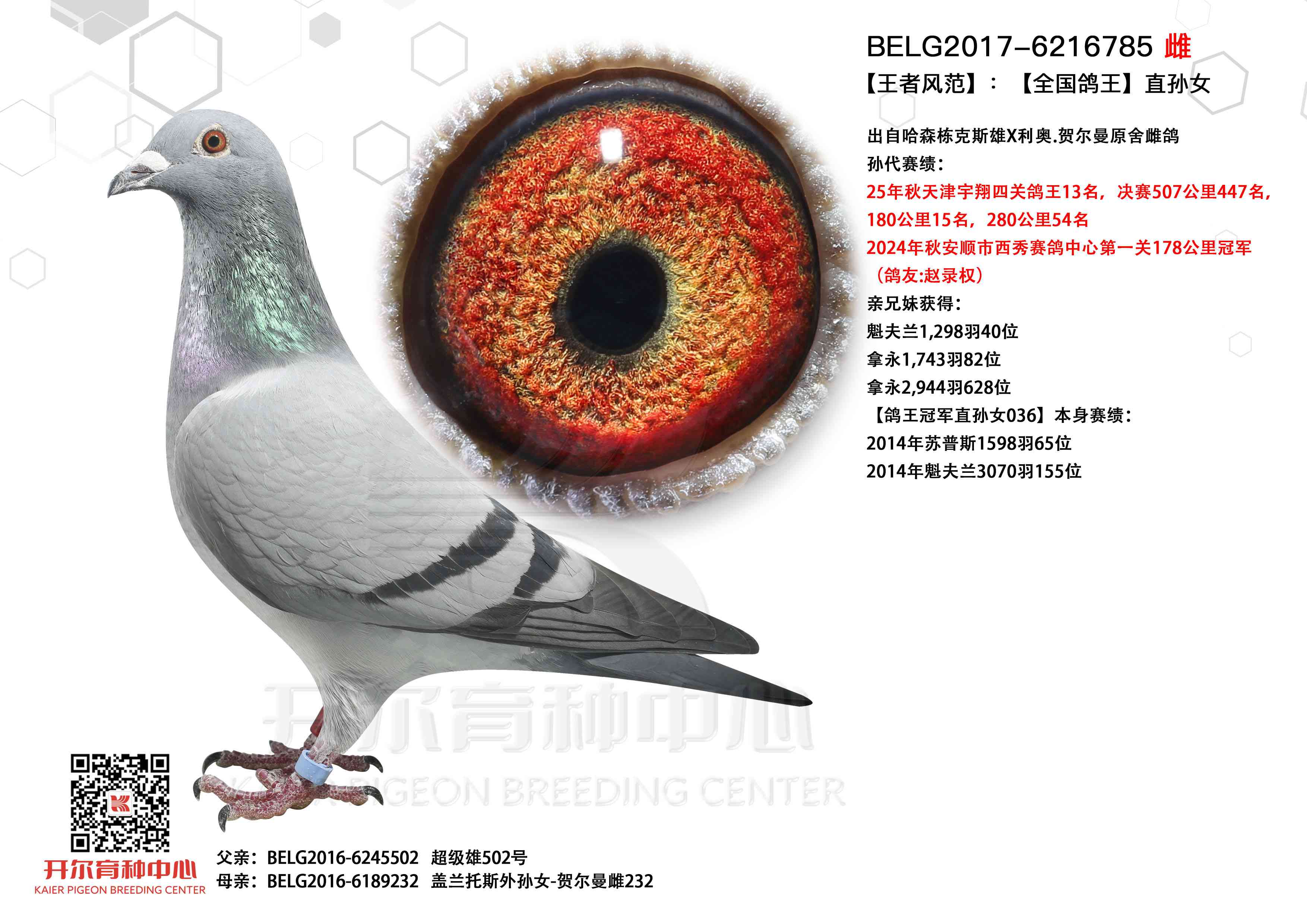 �������L(f��ng)������������������ֱŮ