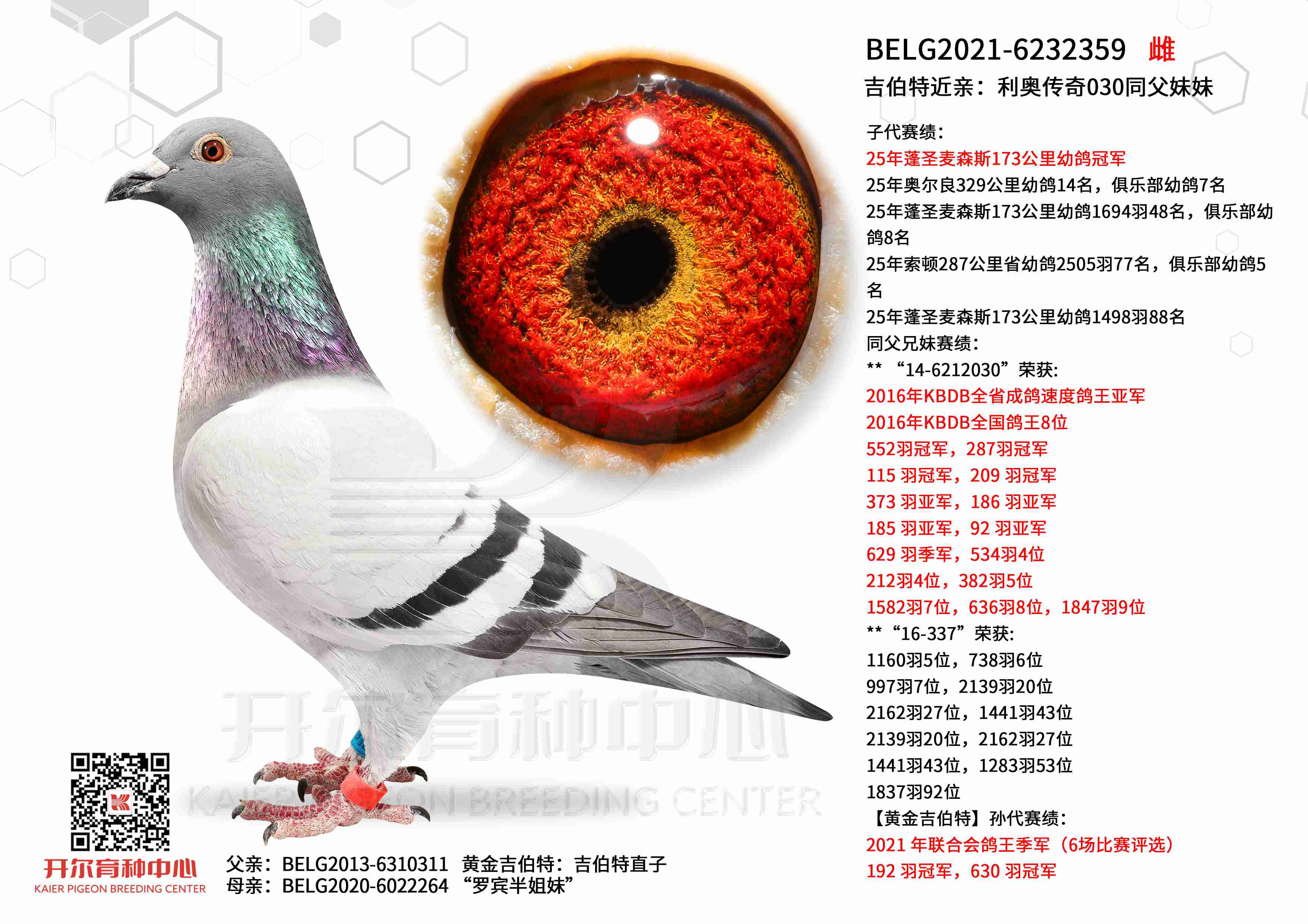 �����ؽ��H�����W����030ͬ������