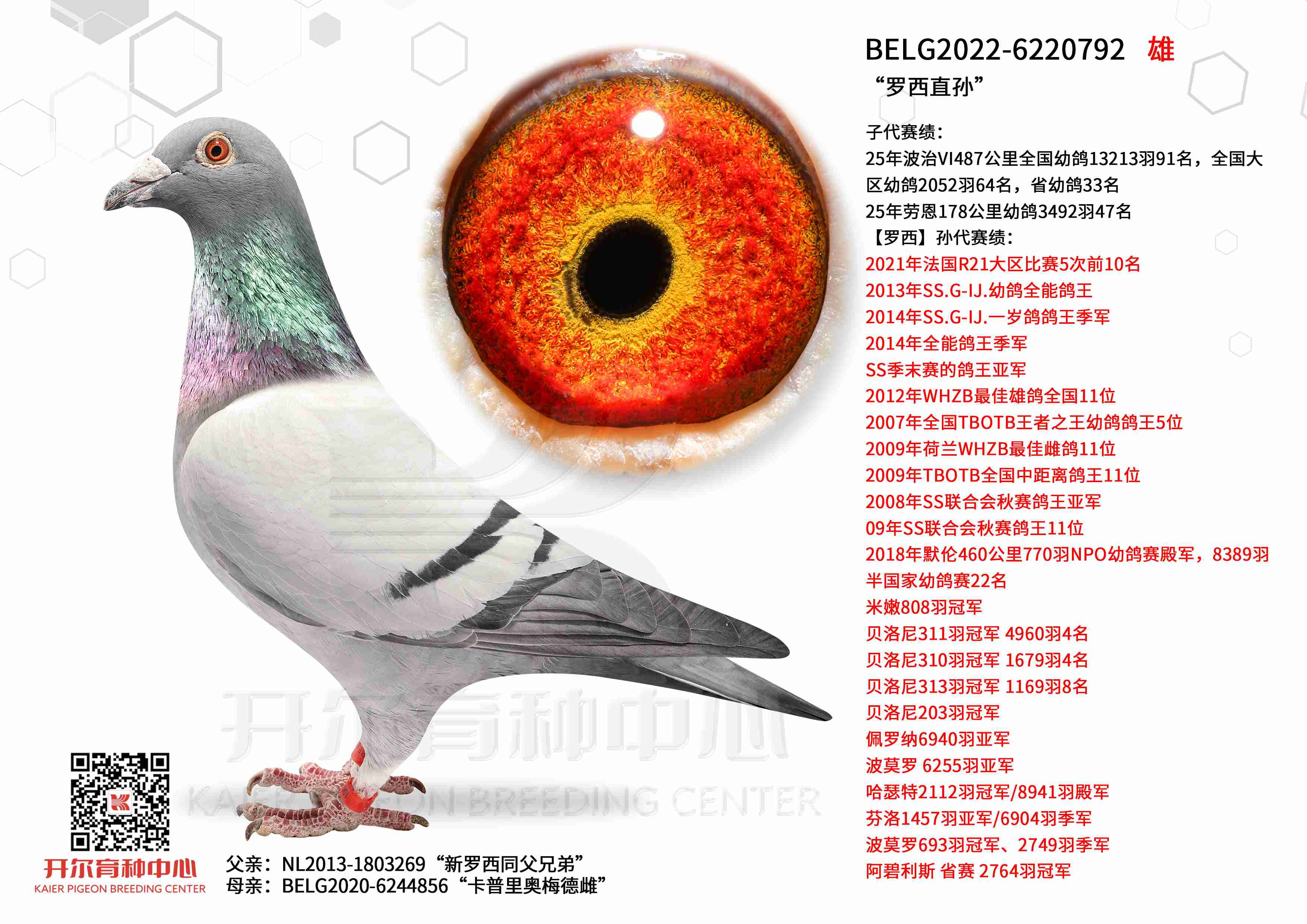 ���_����ֱ�O