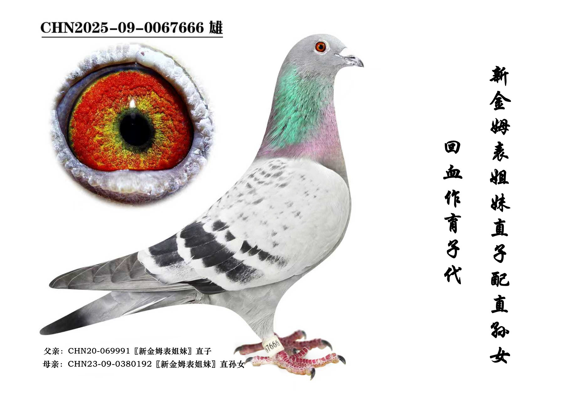 ���½�ķ�����á�ֱ�O