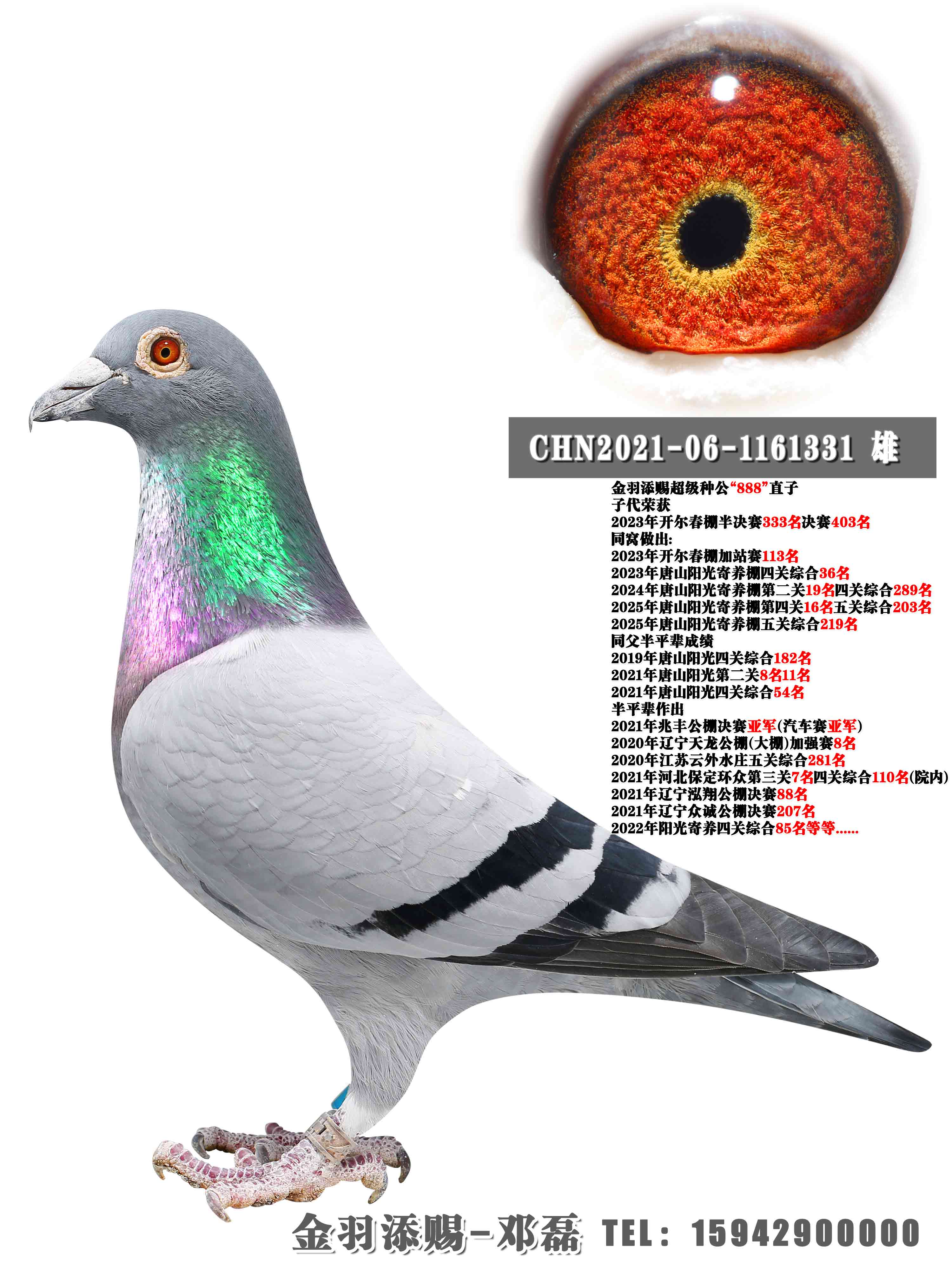 �����ָ롰888������ֱ��