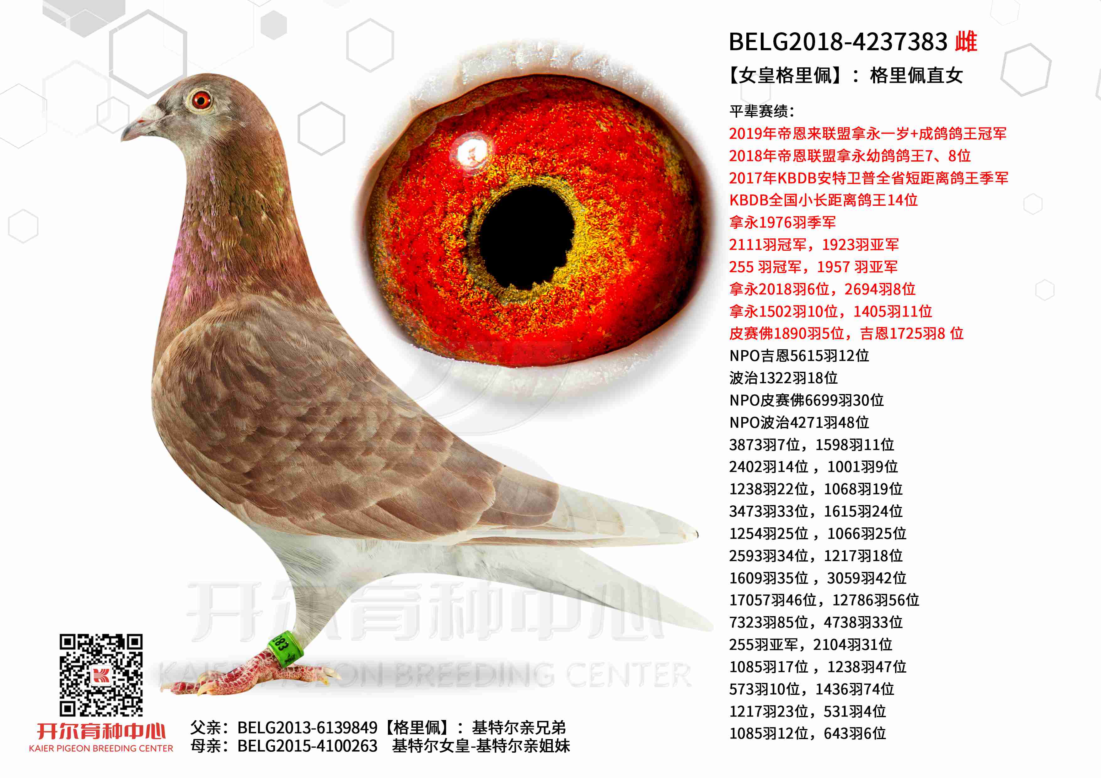 ��Ů�ʸ����塿��������ֱŮ