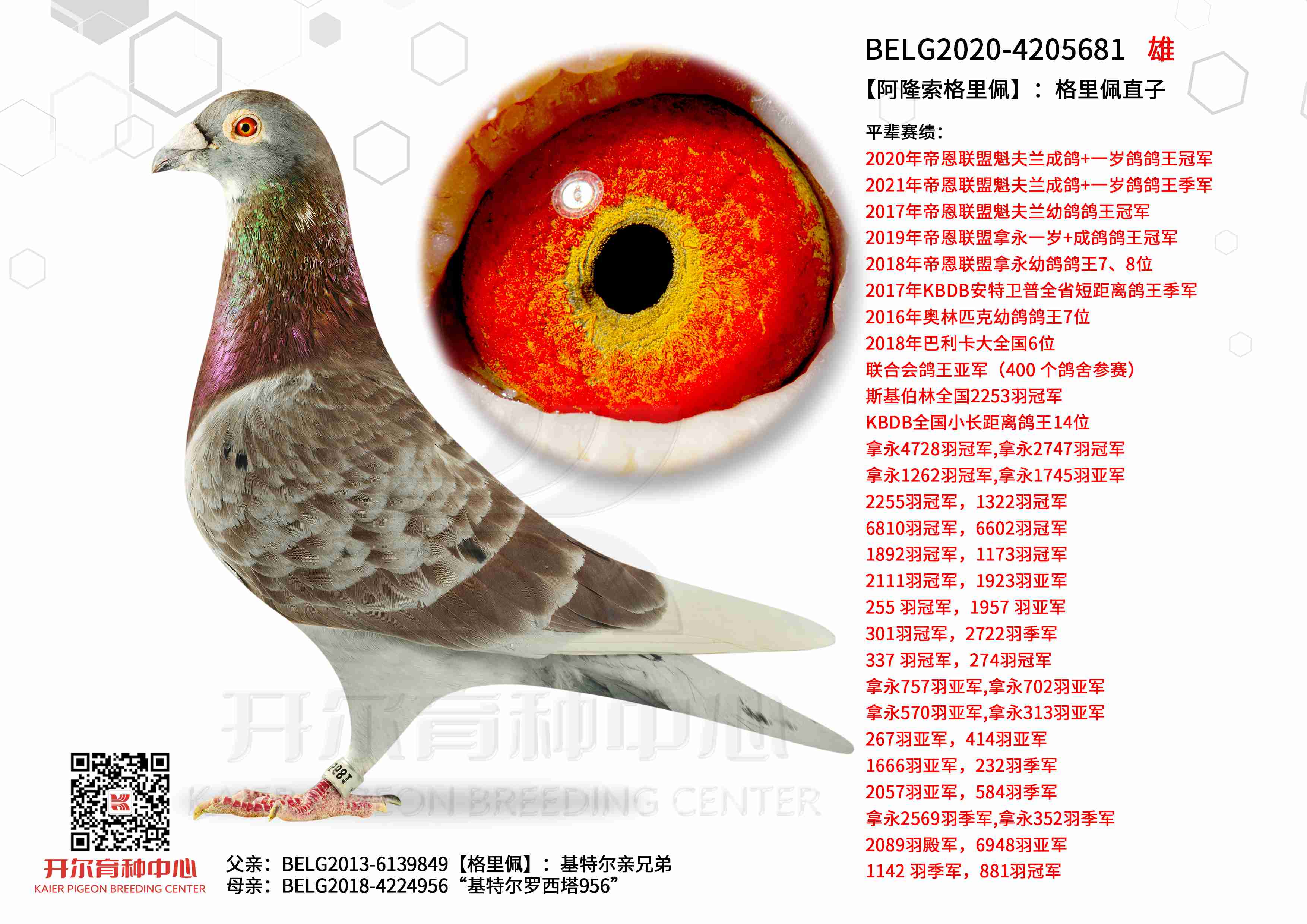 ����¡�������塿��������ֱ��