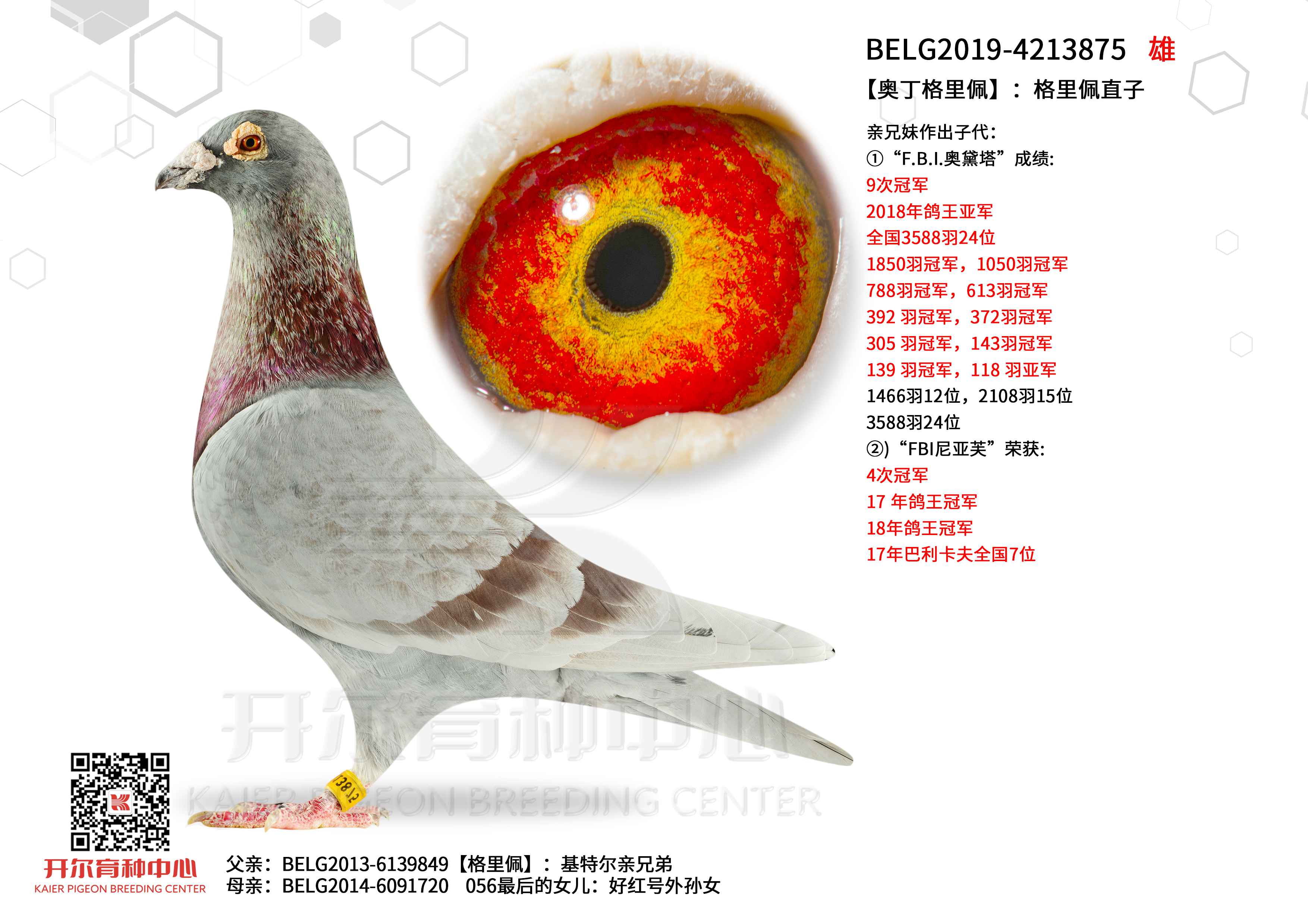 ���W�������塿��������ֱ��